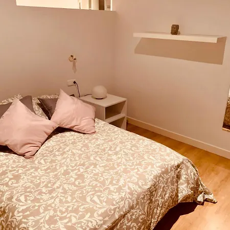Cozy And Beautiful Close To Downtown And Beaches Appartement *